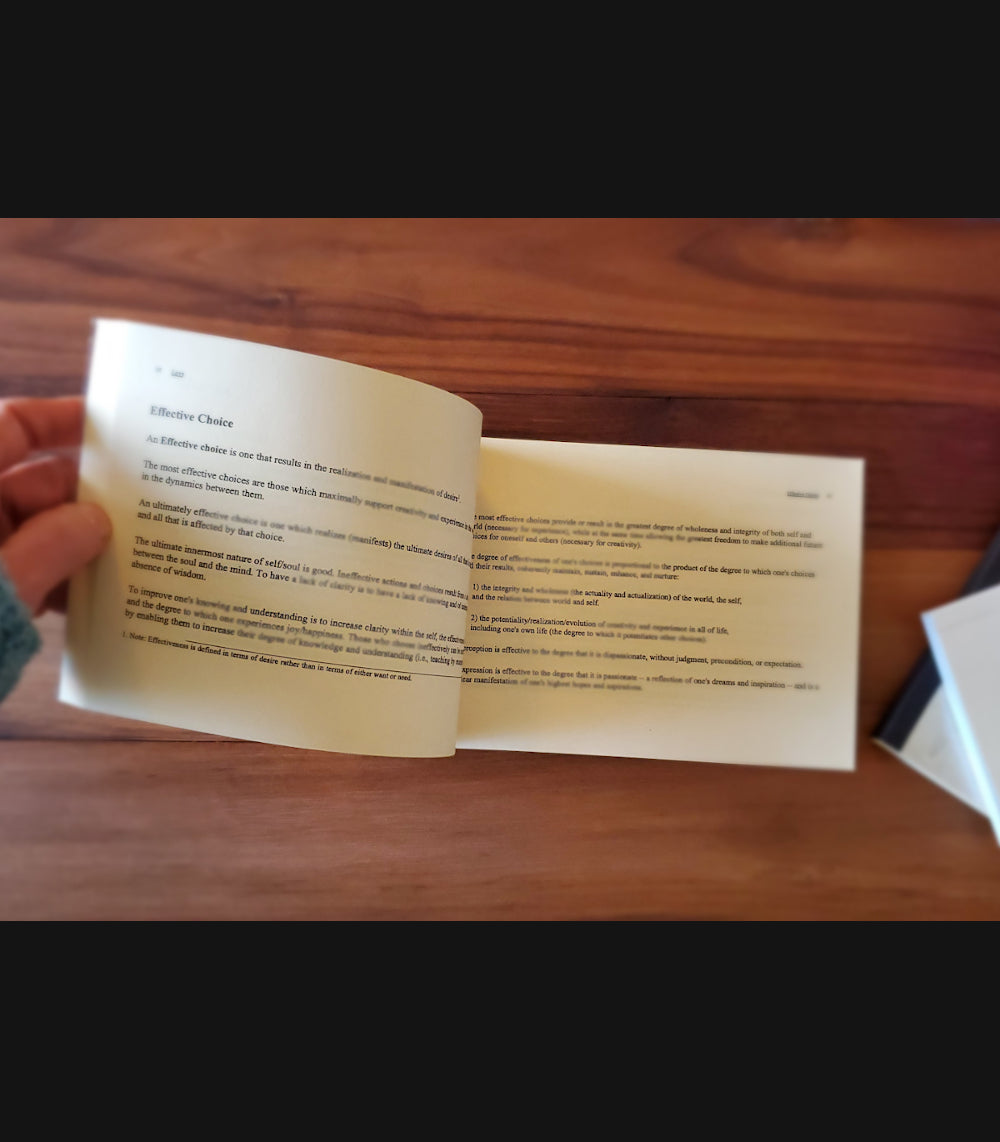 "The Effective Choice" by Forrest Landry