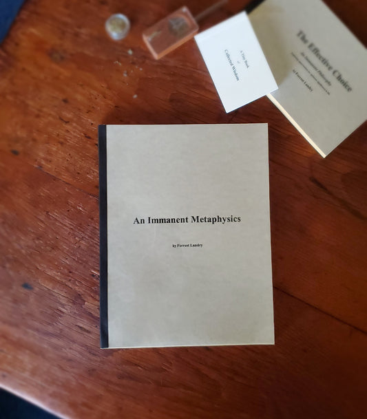 "An Immanent Metaphysics" by Forrest Landry