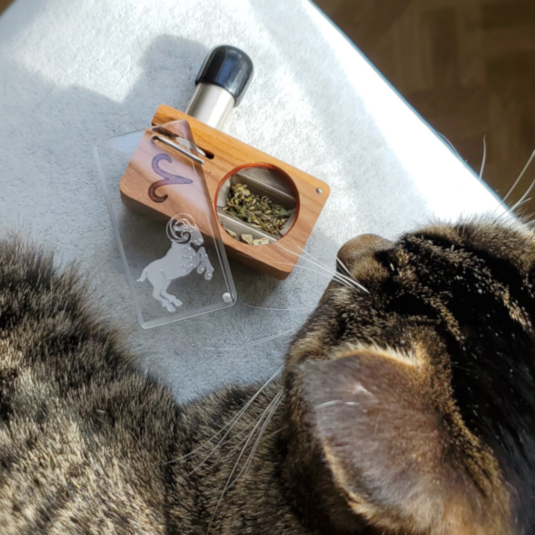 Daring Action ~ ARIES Magic – Magic Flight